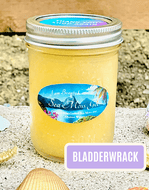 Gold Sea Moss with Bladderwrack